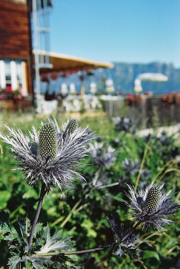 Berghotel Schonhalden Flums Esterno foto